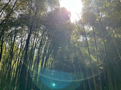 -敬亭山风景名胜区