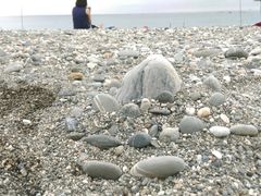 -七星潭蓝天广场