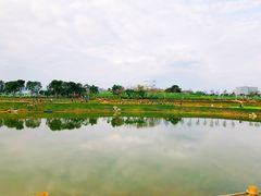 -光明小镇欢乐田园