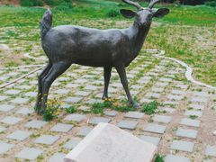 -北京麋鹿生态实验中心