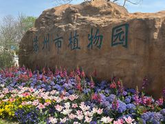 -苏州上方山国家森林公园