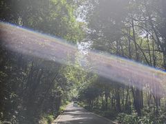 -姑婆山旅游区