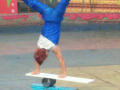 -石家庄市动物园