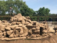 -西安秦岭野生动物园