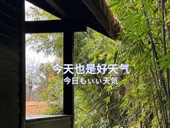 -崇阳三特浪口温泉