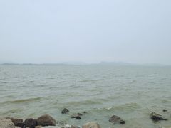 -深圳湾公园(南山区)