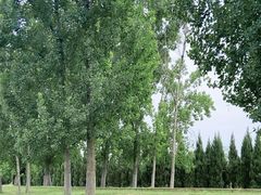 -汉长安城未央宫国家考古遗址公园