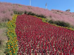 -沂蒙云瀑洞天景区