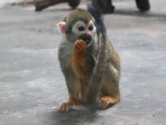 -西安秦岭野生动物园