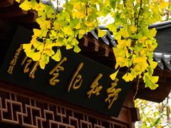 -郑和公园