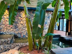 -勐丽梦兰傣味餐厅