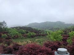 -四明山国家森林公园