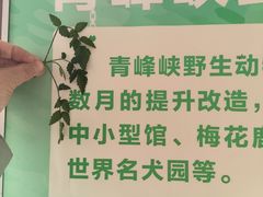 -青峰峡国家森林公园