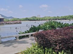 -顺峰山公园