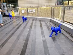店内环境-中海环宇荟