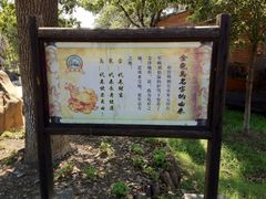 -金龟岛渔村