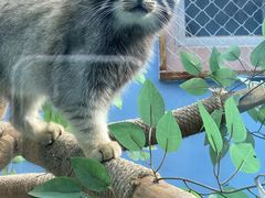 -青藏高原野生动物园