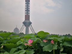 -裕华世纪公园
