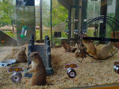 -珠海海泉湾神秘岛亲子乐园