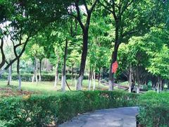 -重庆平顶山公园