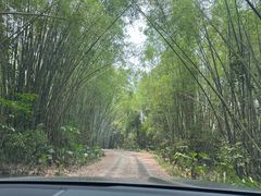 -海南热带野生动植物园