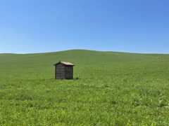 -乌拉盖芍药谷景区