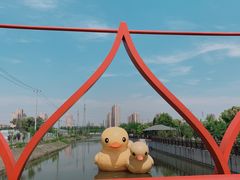 -菊园百果园