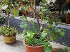 -天祥斋老北京八大碗烧烤家常菜(田村店)