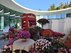 -云溪植物园