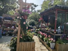 -国家植物园南园