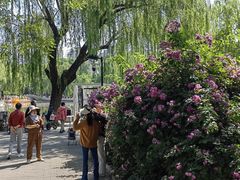 -丰台花园