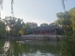 -万柳阁小馆·花园餐厅(龙潭湖店)
