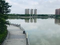 -映月湖中央公园