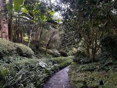 -腾冲洞山温泉村