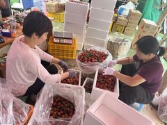 -鹏城八珍深圳特产手信(罗湖店)