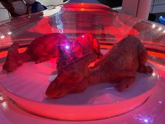 -侏罗纪世界电影特展(广州站)
