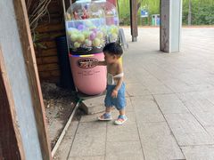 -南翠屏公园