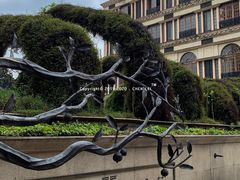 -伯衡55·吉品轩(乌鲁木齐南路店)