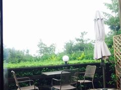 iphone_upload_pic-向日葵咖啡
