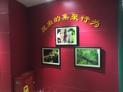 -上海昆虫博物馆