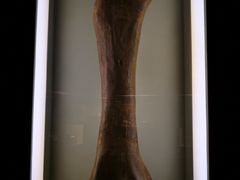 -世界恐龙谷景区