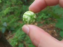 -楠溪江风景名胜区