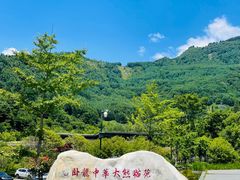 -卧龙中华大熊猫苑神树坪基地