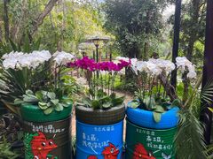 -三亚亚龙湾人间天堂鸟巢度假村