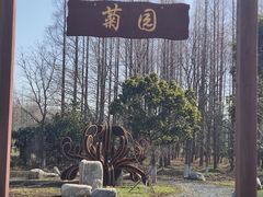 -东平国家森林公园