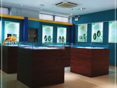 -上海昆虫博物馆