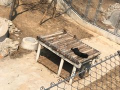 -石家庄市动物园