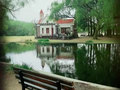 -上海共青森林公园