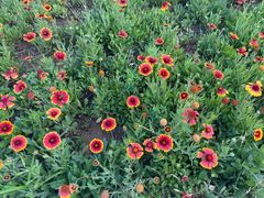 -敕勒川草原文化旅游区