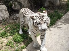 -西安秦岭野生动物园